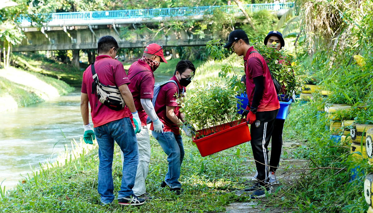 Urban Biodiversity