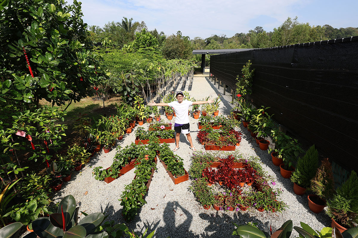 Elmina Green 6 resident Ho Kian Keong at ERKC's "fú" (福) plant display, symbolising prosperity.